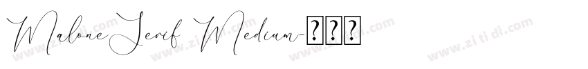 MaloneSerif Medium字体转换 MaloneSerif Medium字体转换